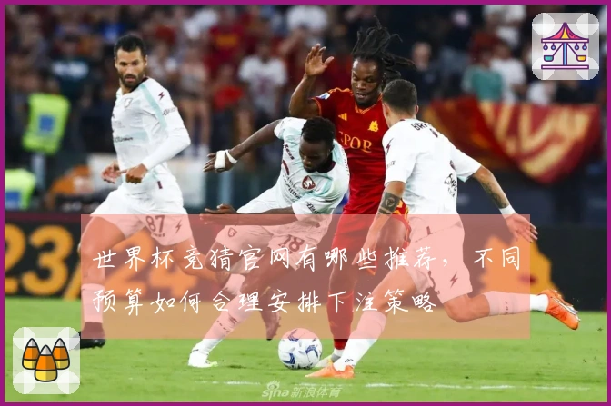 世界杯竞猜官网有哪些推荐，不同预算如何合理安排下注策略