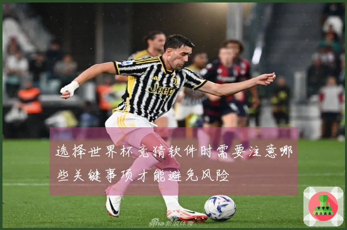 选择世界杯竞猜软件时需要注意哪些关键事项才能避免风险